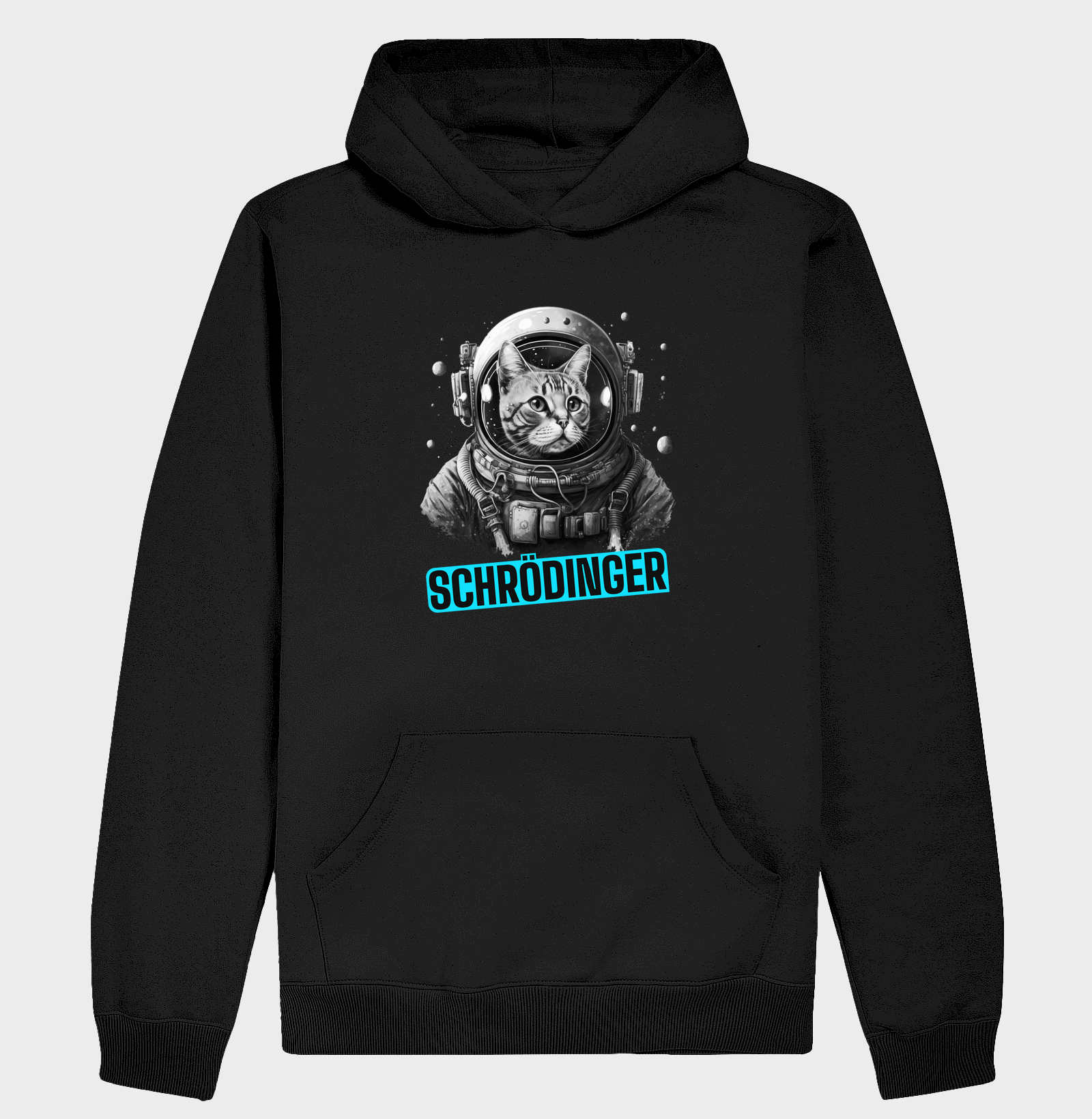 Gato de Schrödinger 1