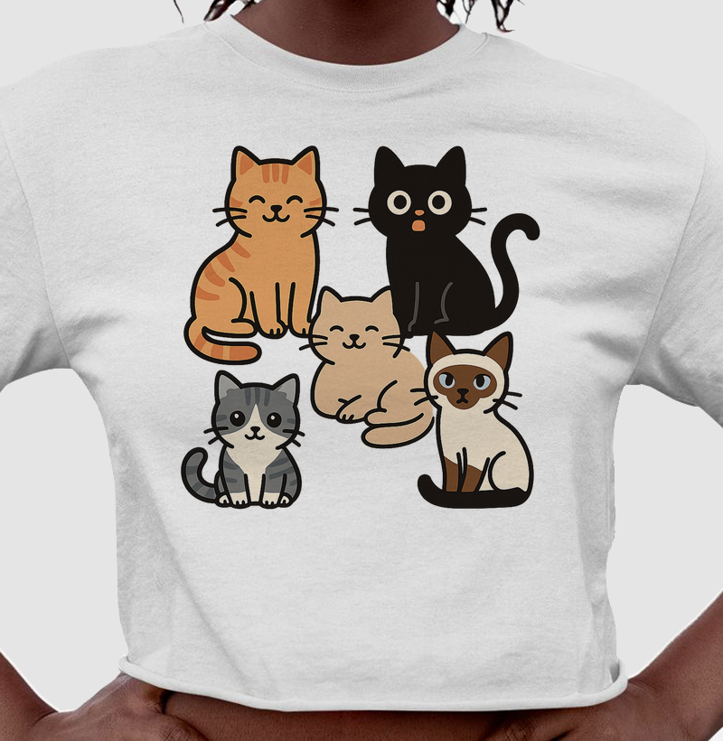 BALAIO DE GATOS