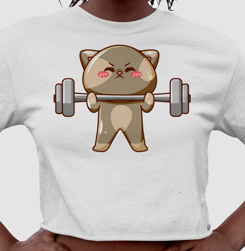 Gato Fortinho