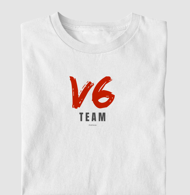 V6 team