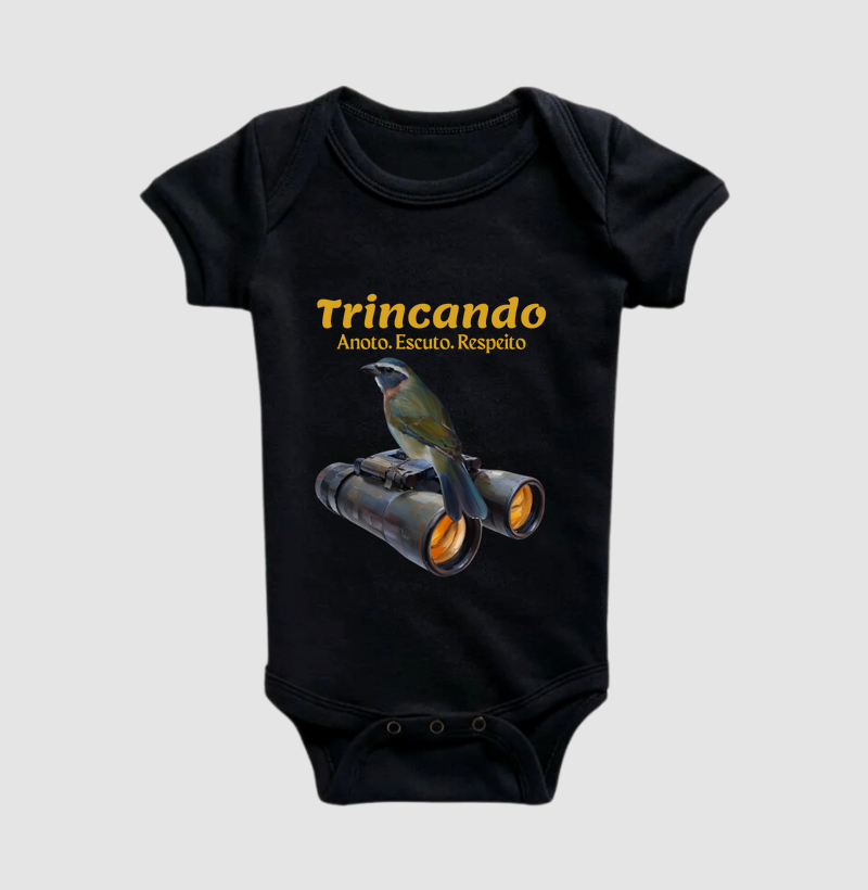 Coleção Observadores 1.0