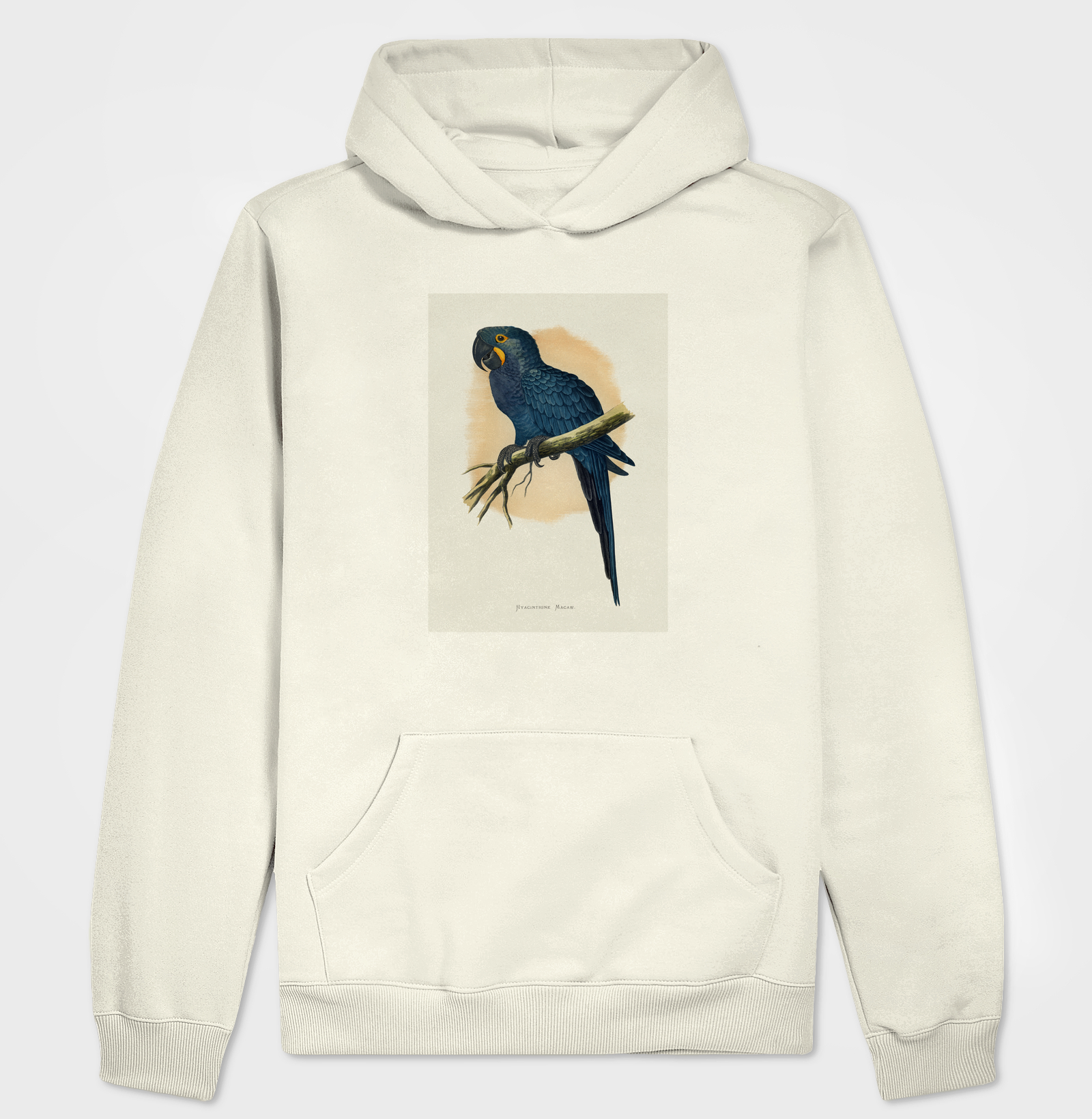Arara-azul