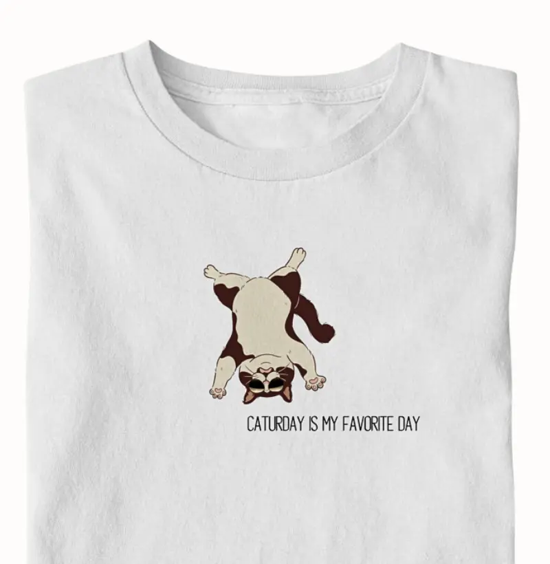 Caturday is my favorite day