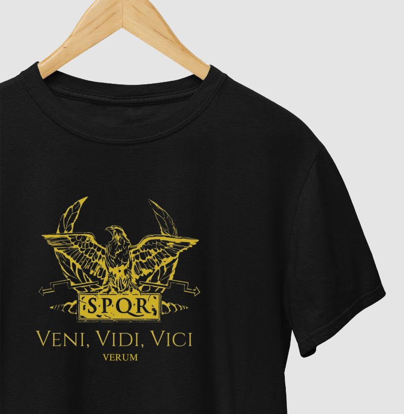 VENI VIDI VICI