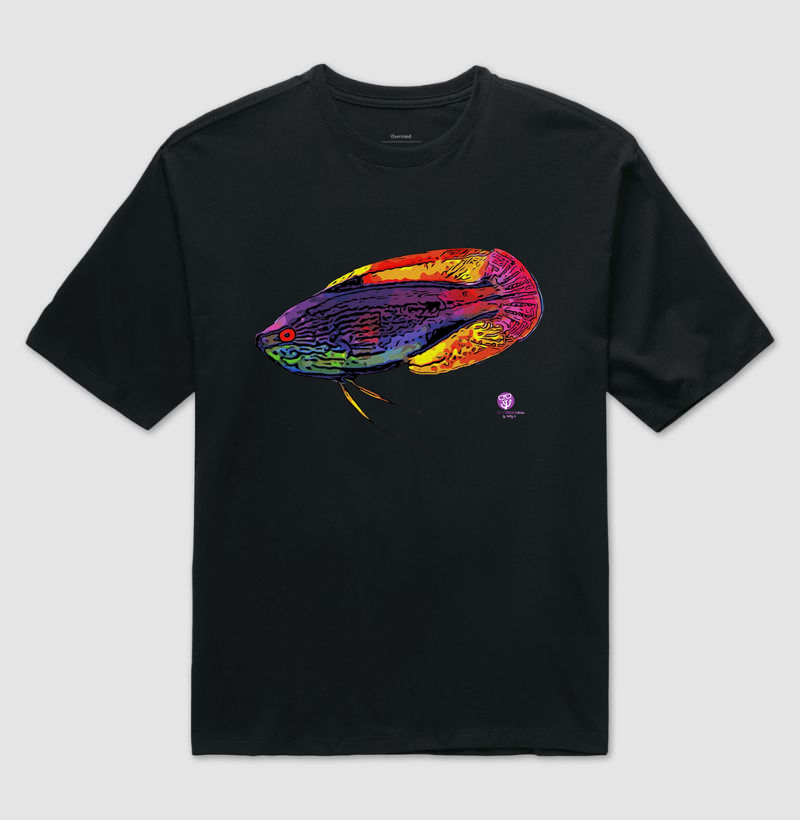 Wrasse Purple Lineathus OVERSIZED