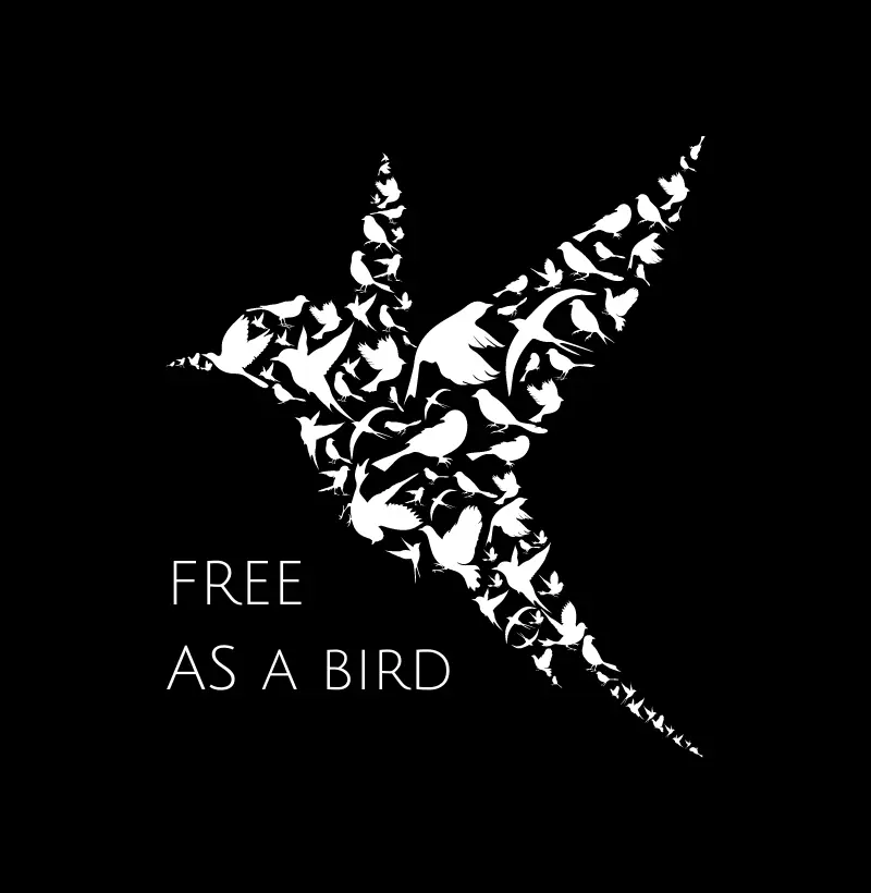 Free as a bird