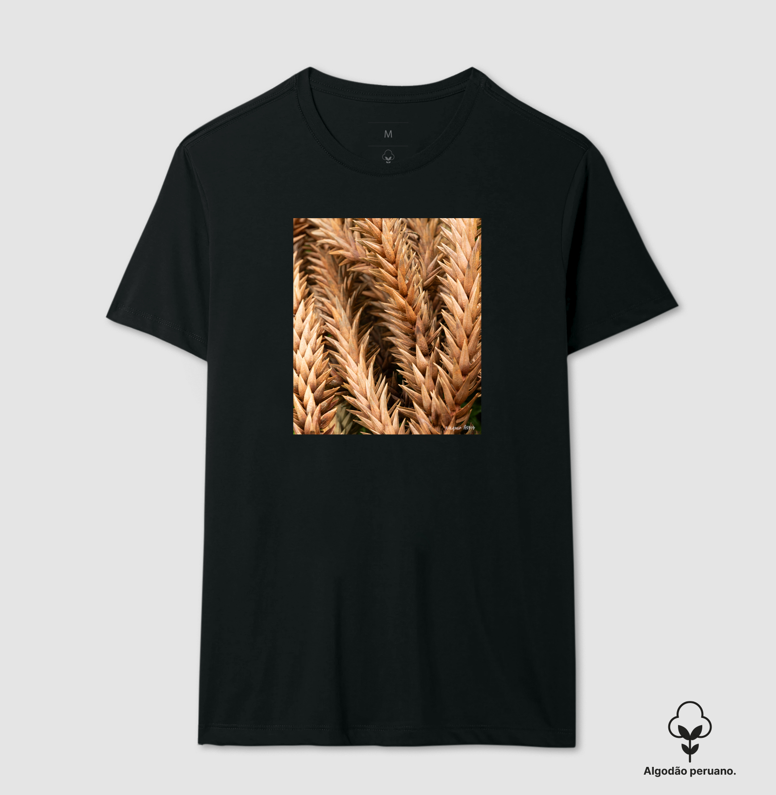 Camiseta Pinheiro