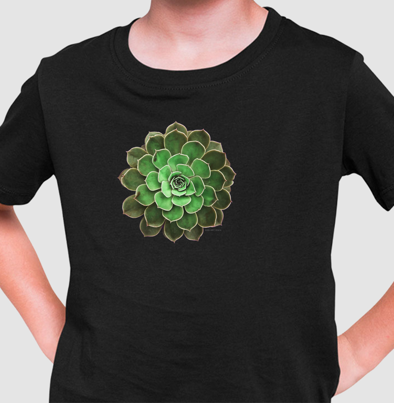 Suculenta verde