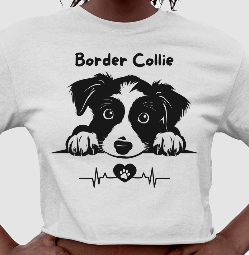 Border eletro