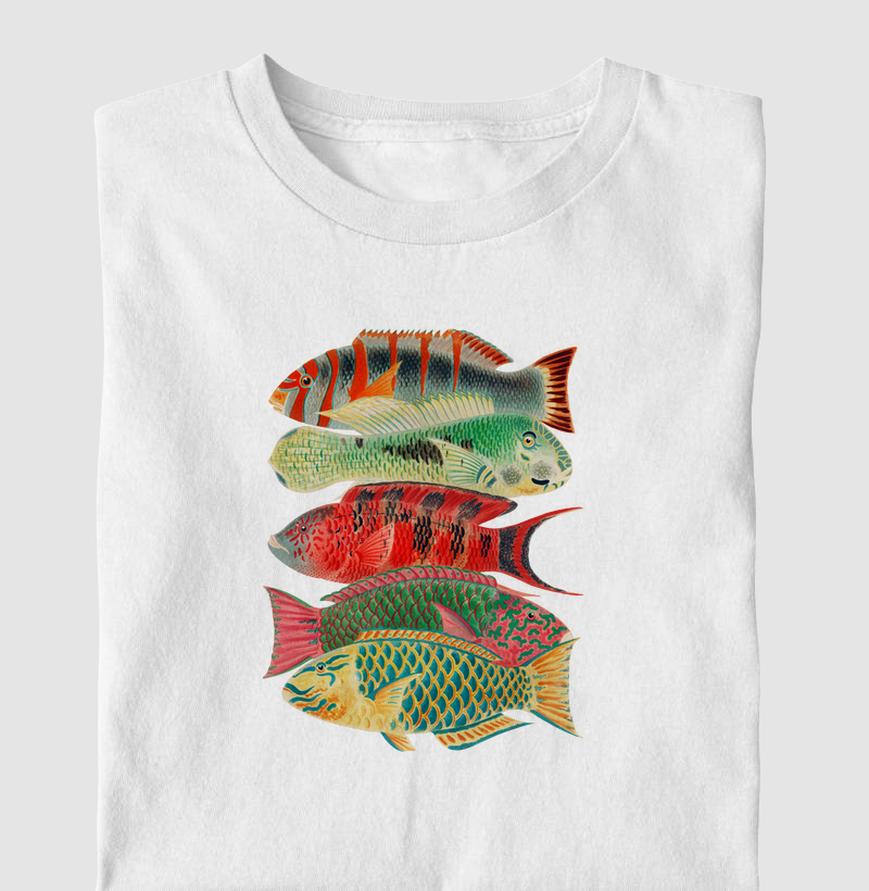 Great Barrier Reef Fishes