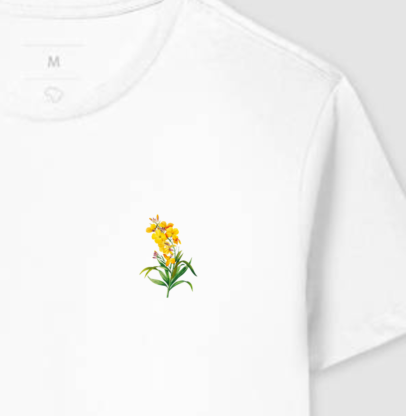 Coleção Orquídeas