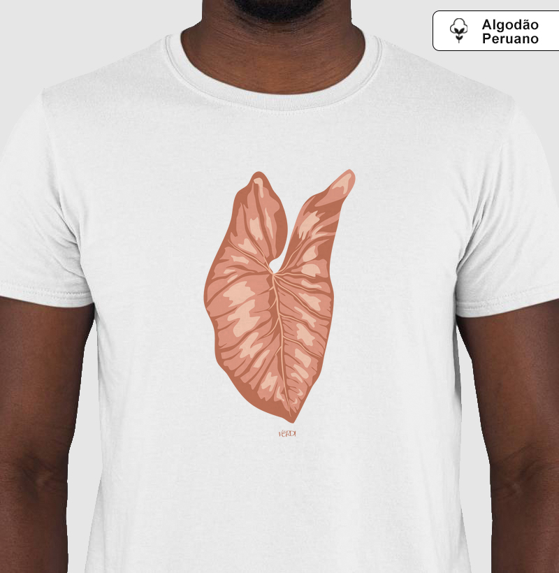 Folha de caladium rosa