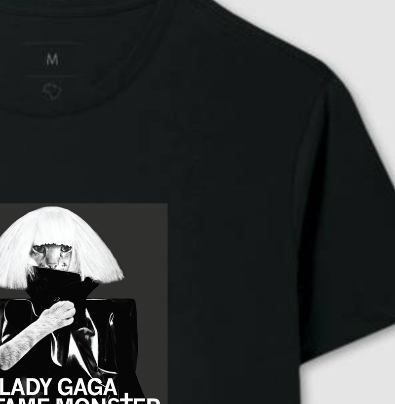 The Fame Monster