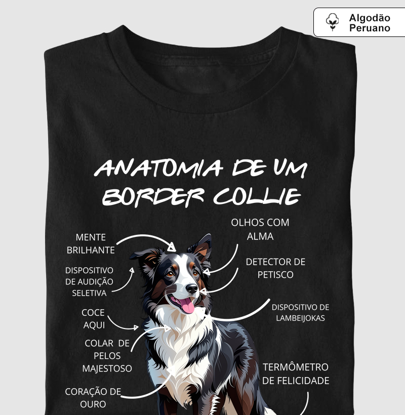 Anatomia de um border collie