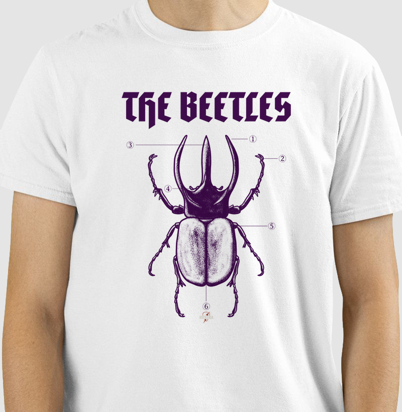 The Beetles