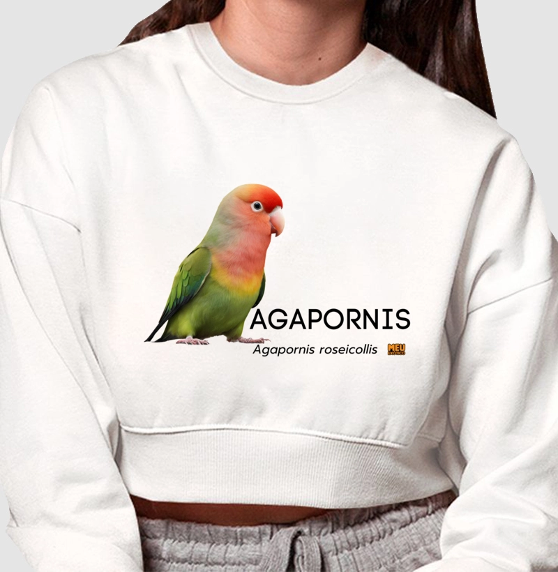 Agapornis