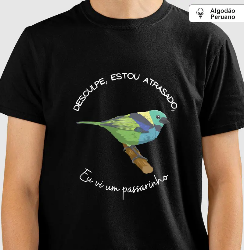 Eu vi um passarinho saíra-sete-cores 