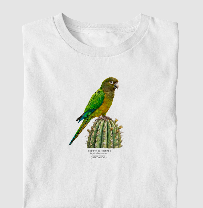 Traços Alados - Periquito-da-caatinga - Infantil