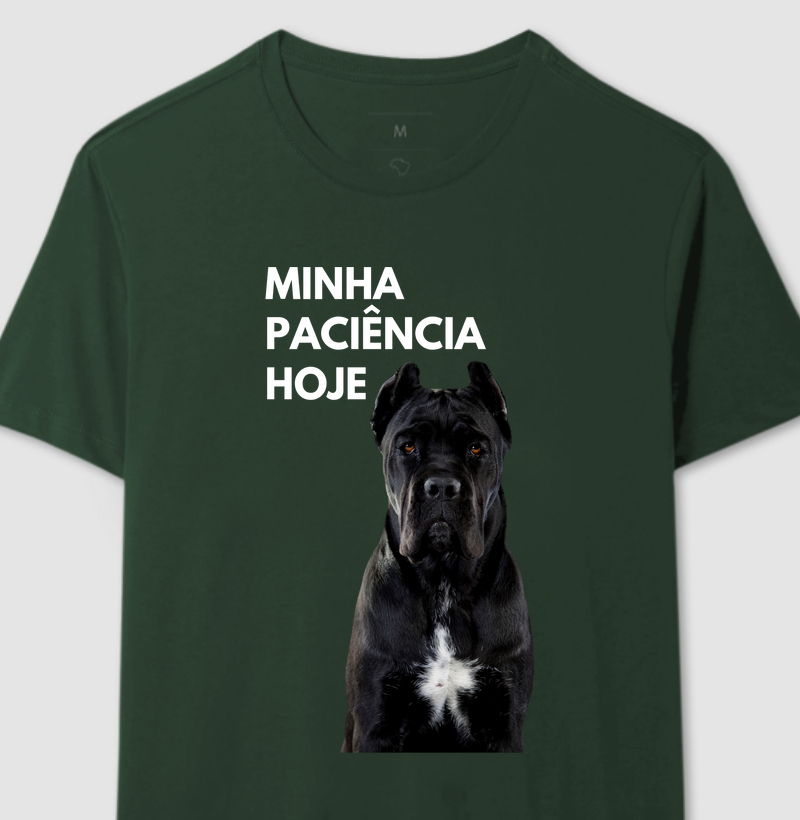 Minha paciência hoje.