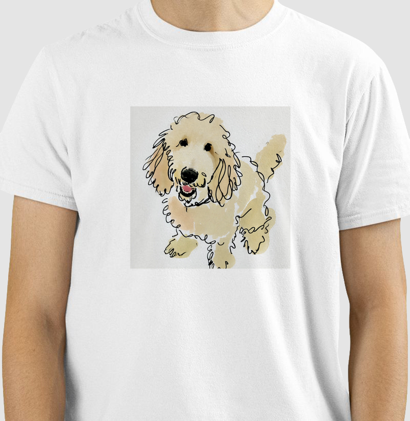 Golden Doodle - Pelos e Tintas 