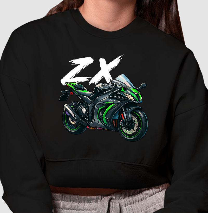 ZX 10 Inlustration