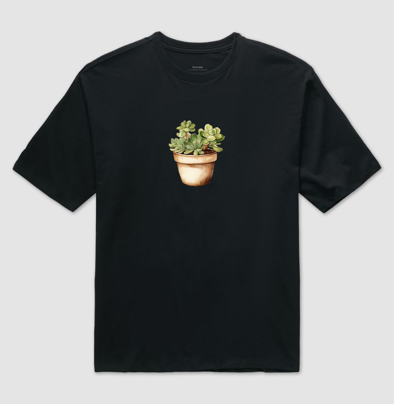 Vaso de suculentas 02