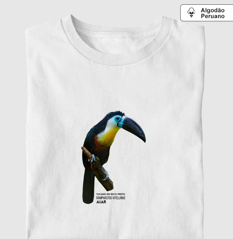 AVE TUCANO-DE-BICO-PRETO