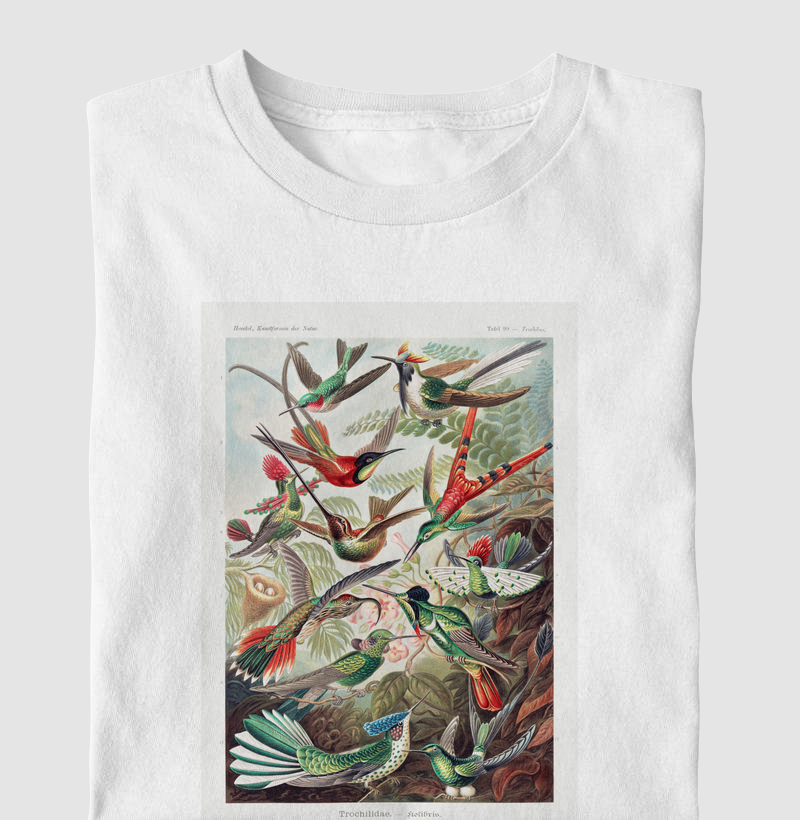 Trochilidae–Kolibris