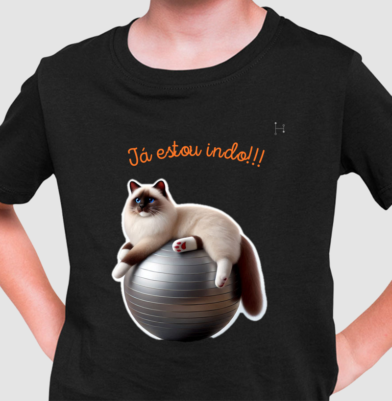 Gato - Ragdoll 