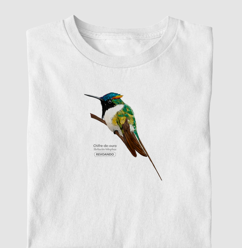 Aves do Brasil - Chifre-de-ouro - Infantil