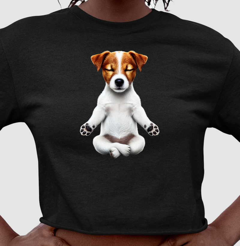 Jack Russell Meditando