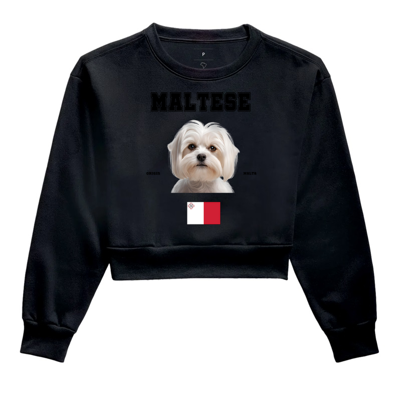 Maltês