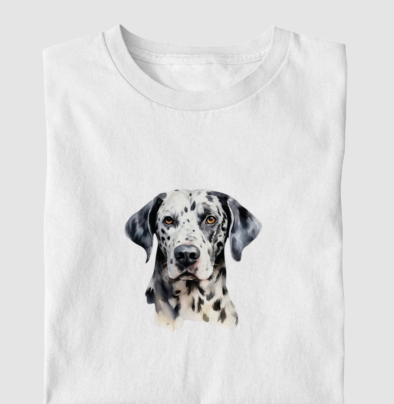 Dalmata