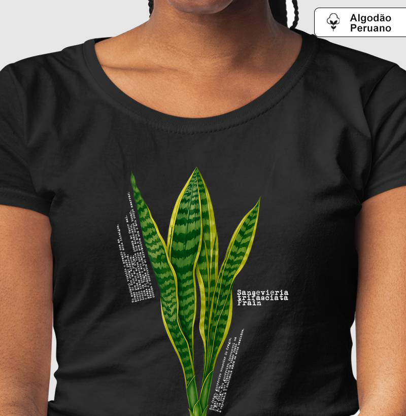 Sansevieria
