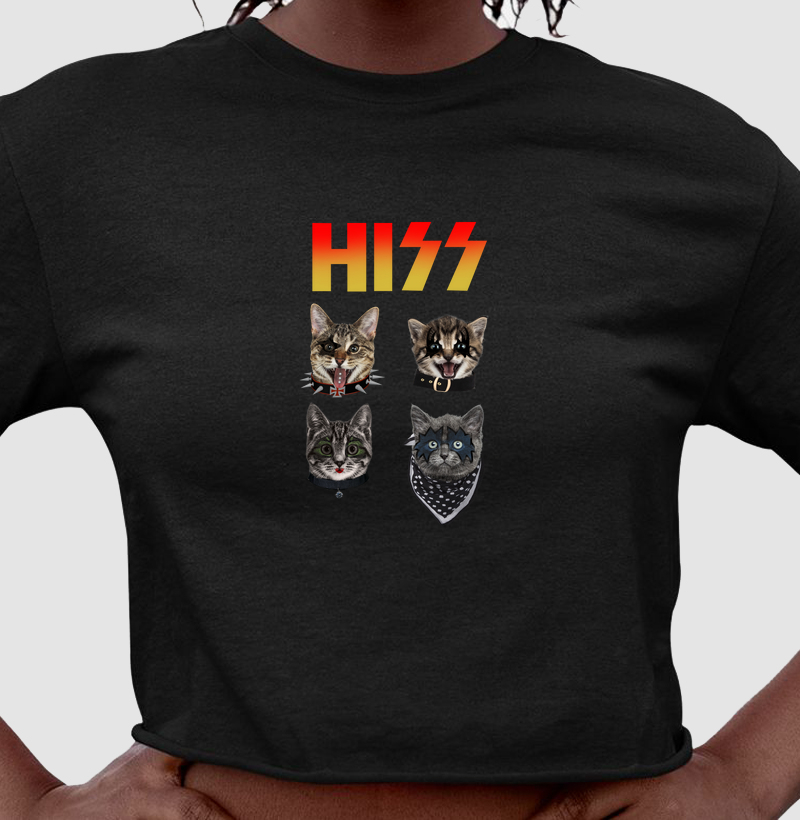 Hiss 