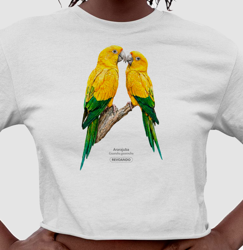 Traços Alados - Ararajuba - Cropped