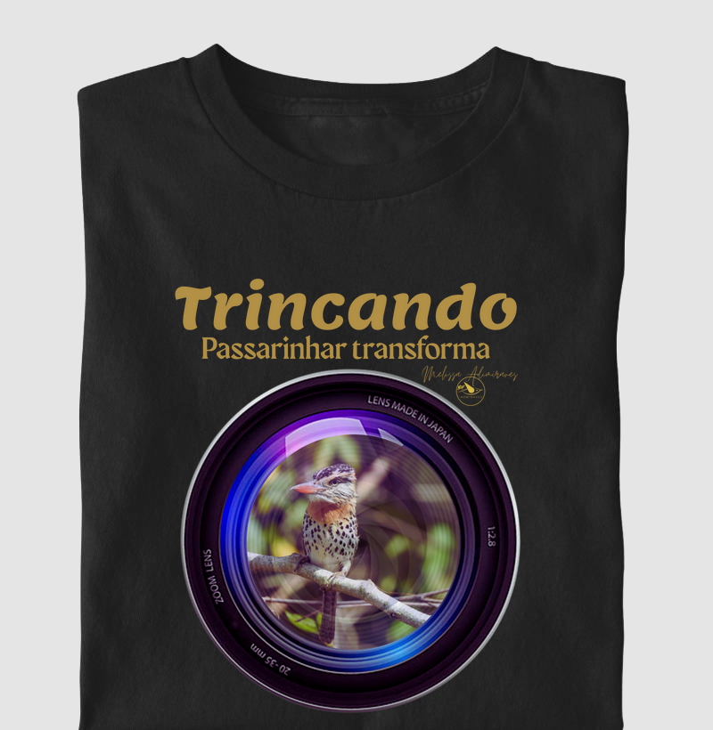 Coleção Observadores 1.0