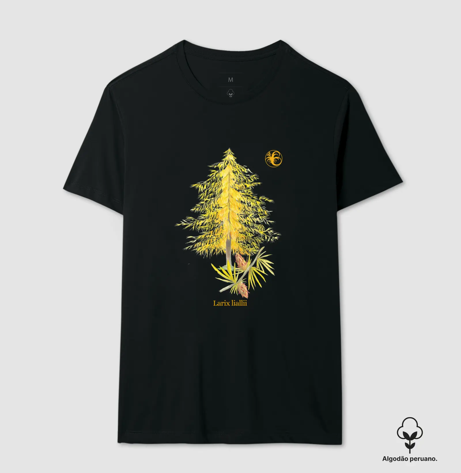 Larix lialli 