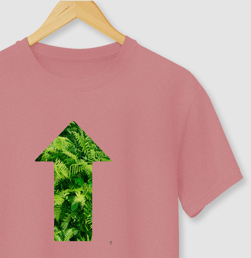 Siga o caminho da Natureza