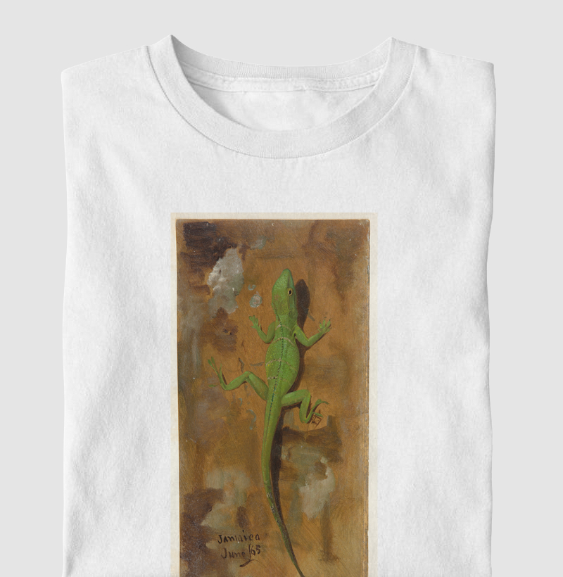 Lagarto da Jamaica