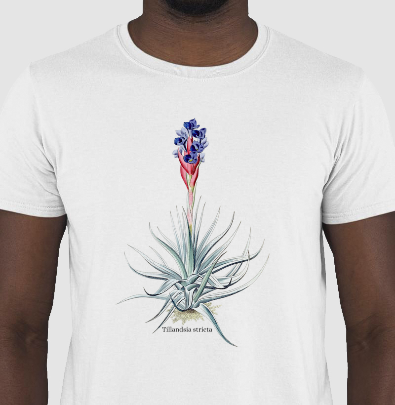 Camiseta Tshirt Tillandsia stricta 2