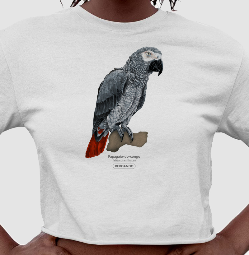 Love Friends - Papagaio-do-congo - Cropped