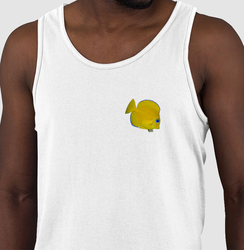Peixinho Amarelinho