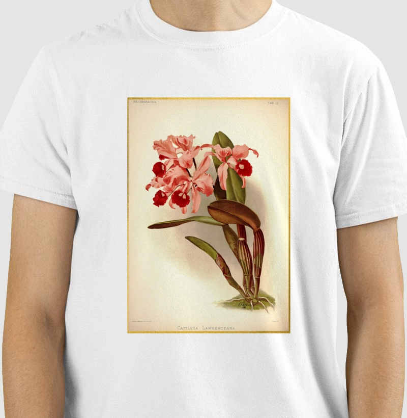 Camiseta Cattleya lawrenceana