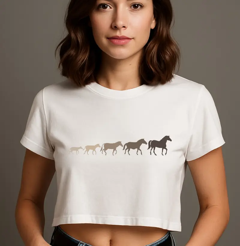 Evolução Equestre 