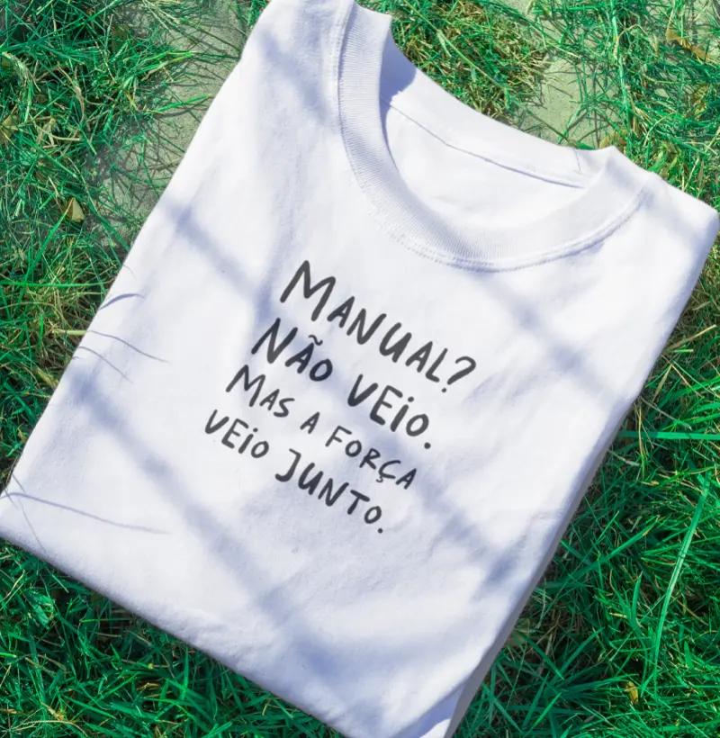 Manual não veio