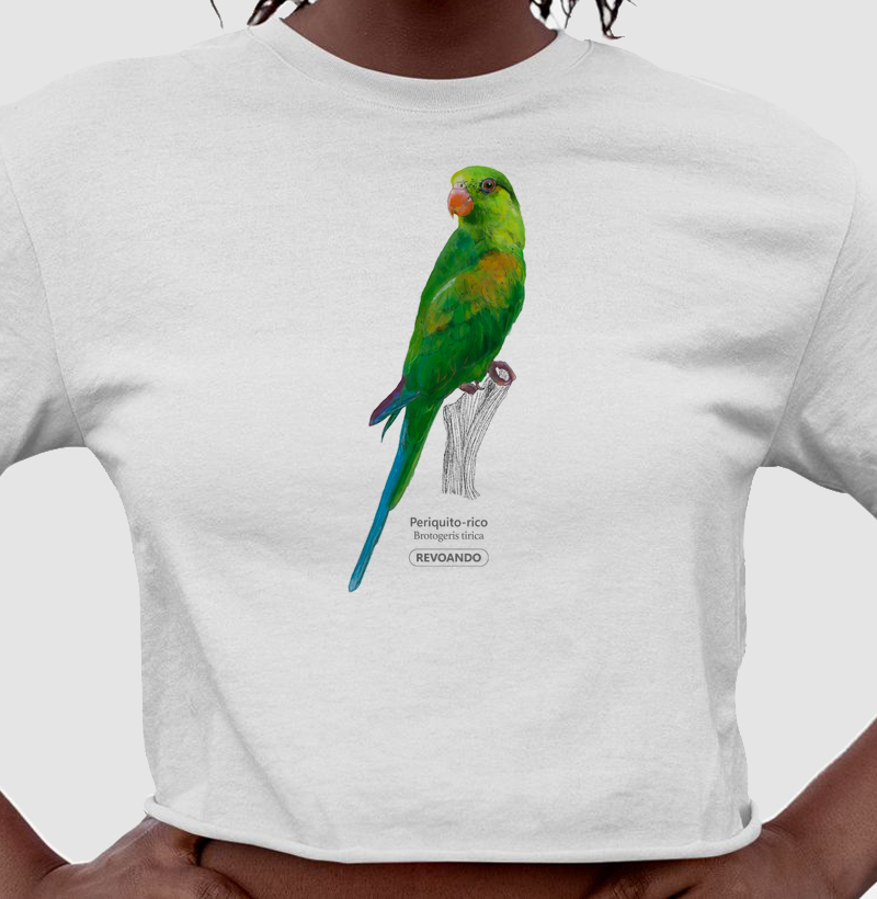 Aves do Brasil - Periquito-rico - Cropped