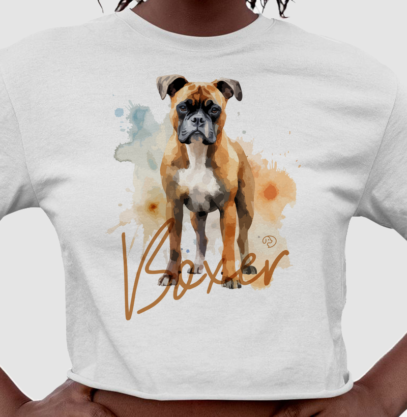 Boxer Splash