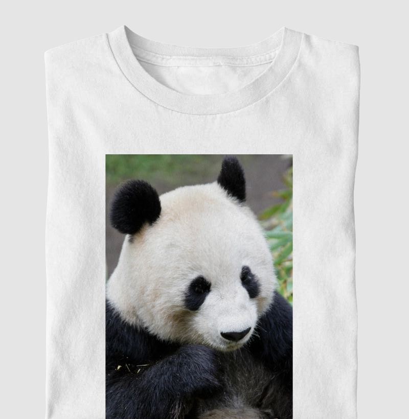 Panda gigante