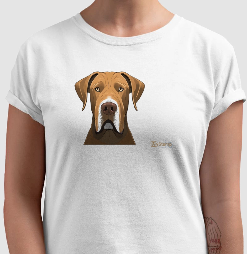 Pais de Pet: Dogue Alemão